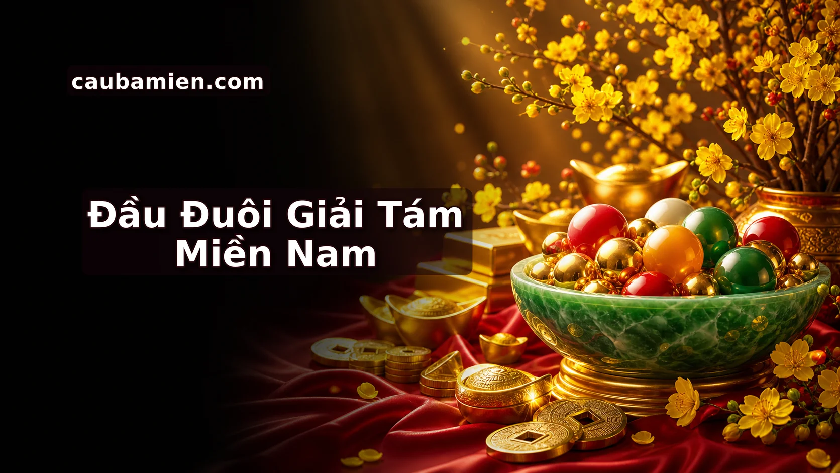 MN Chắc Ăn Đầu đuôi giải 8
