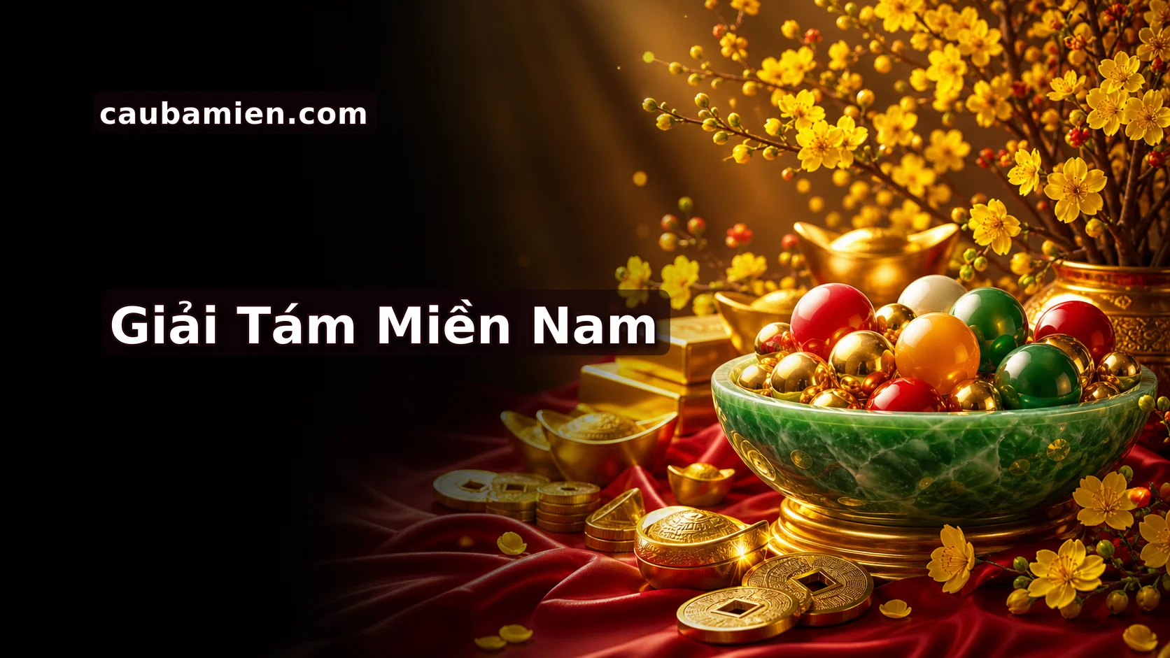 MN Chắc Ăn Giải 8
